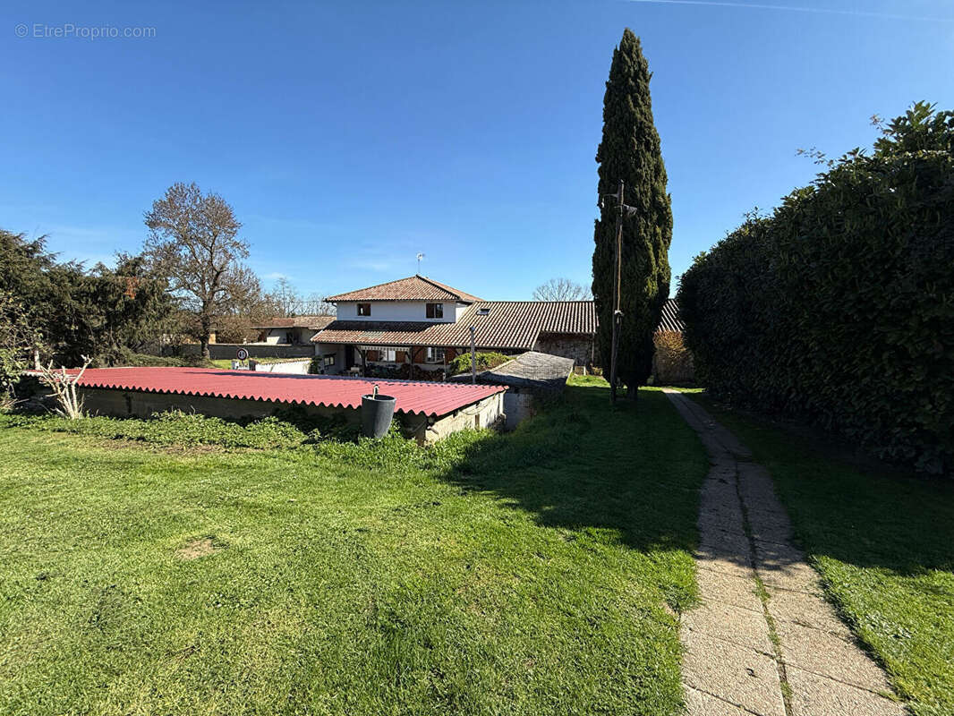 Maison à SAINT-DIDIER-SUR-CHALARONNE