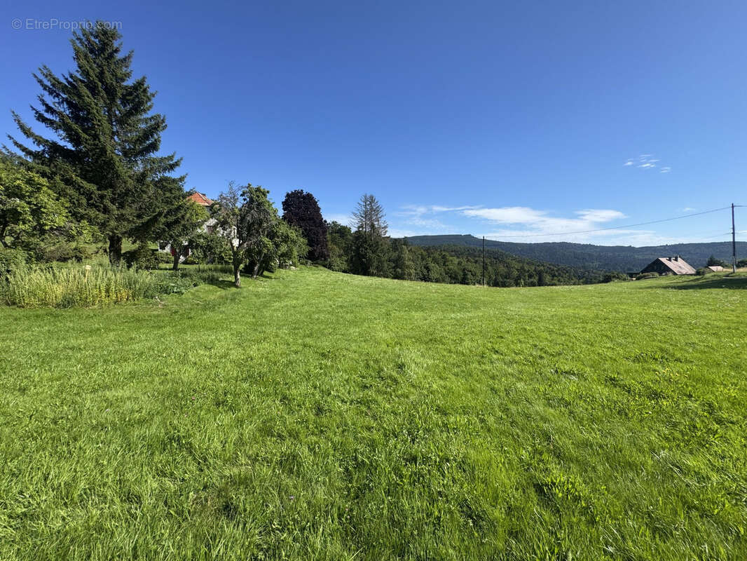 Terrain(s) constructible(s) 13,15a Hohwald - photo 5