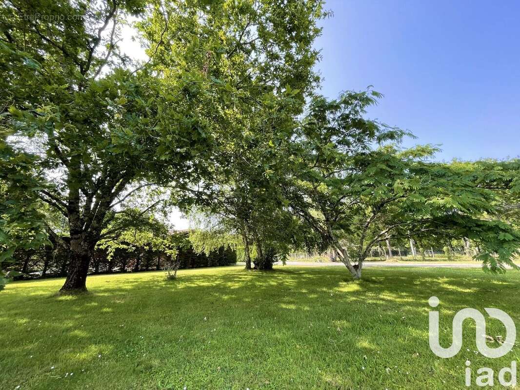 Photo 6 - Maison à VENDAYS-MONTALIVET