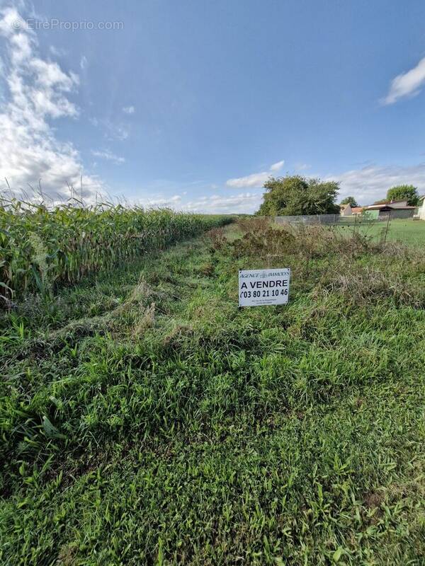 Terrain à LECHATELET