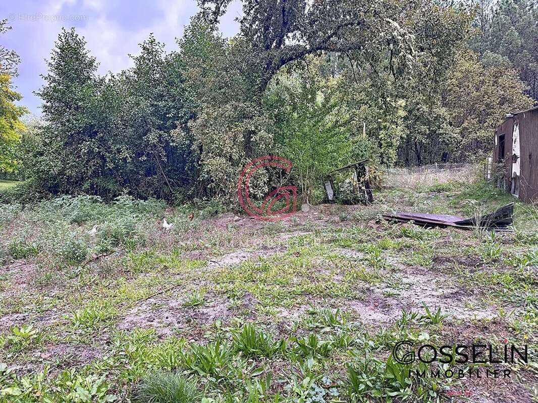 Maison à SAINT-PAUL-EN-BORN