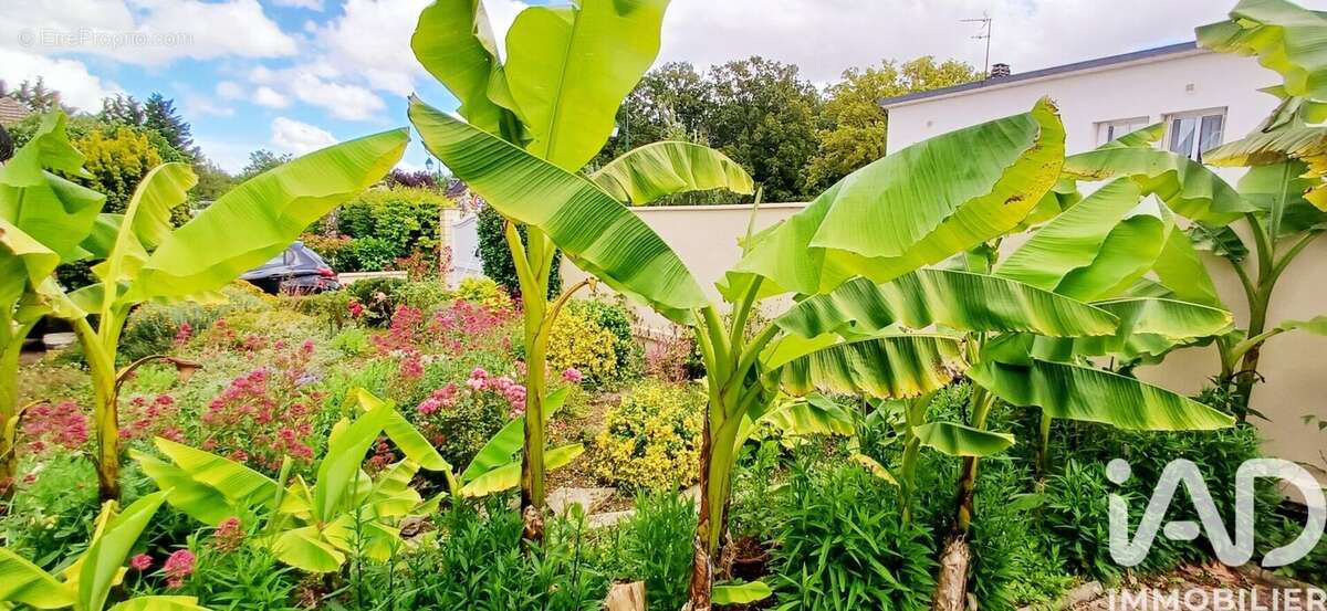 Photo 3 - Maison à MARMAGNE