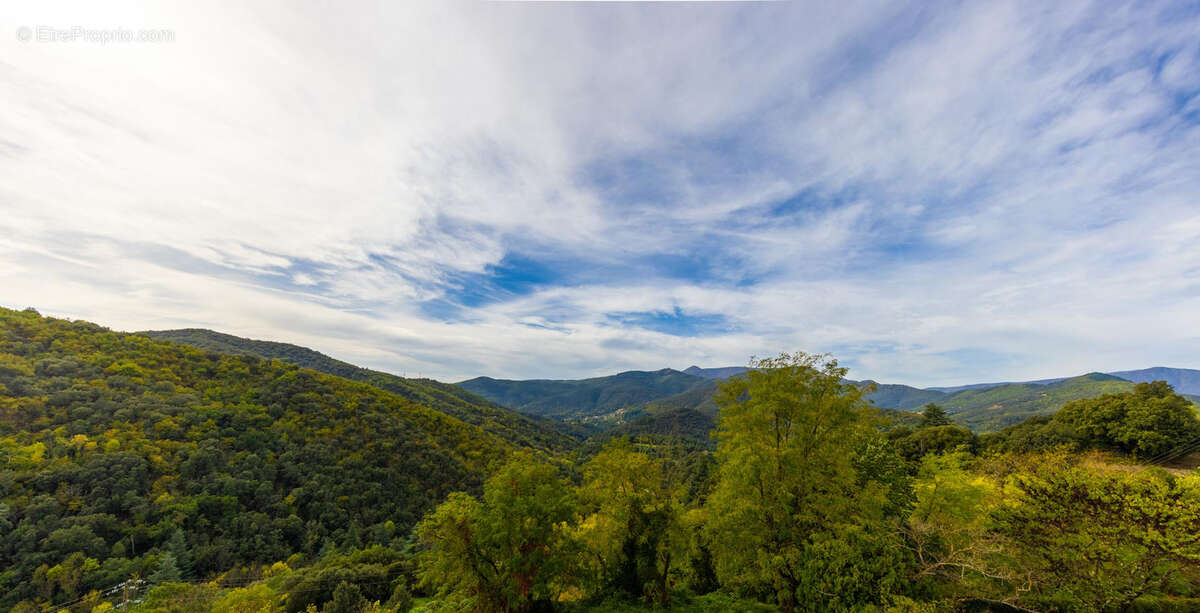 Commerce à VALLERAUGUE