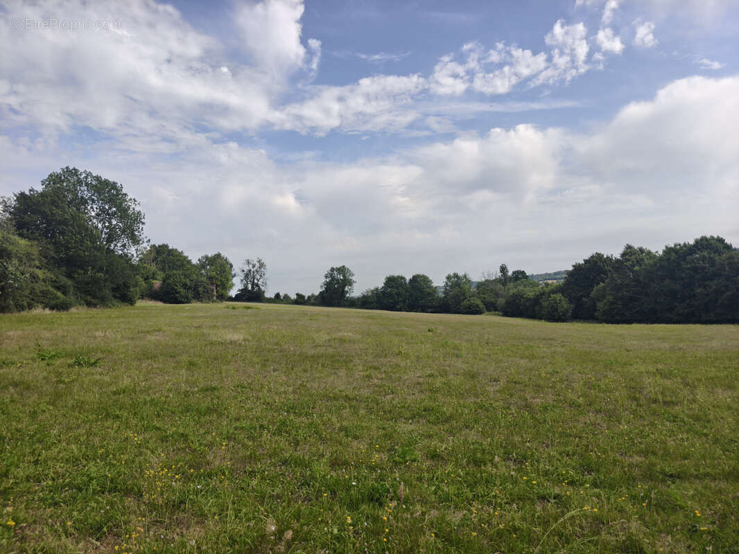 Authentique propriété normande sur environ 6 hectares/ havre de paix - photo 30