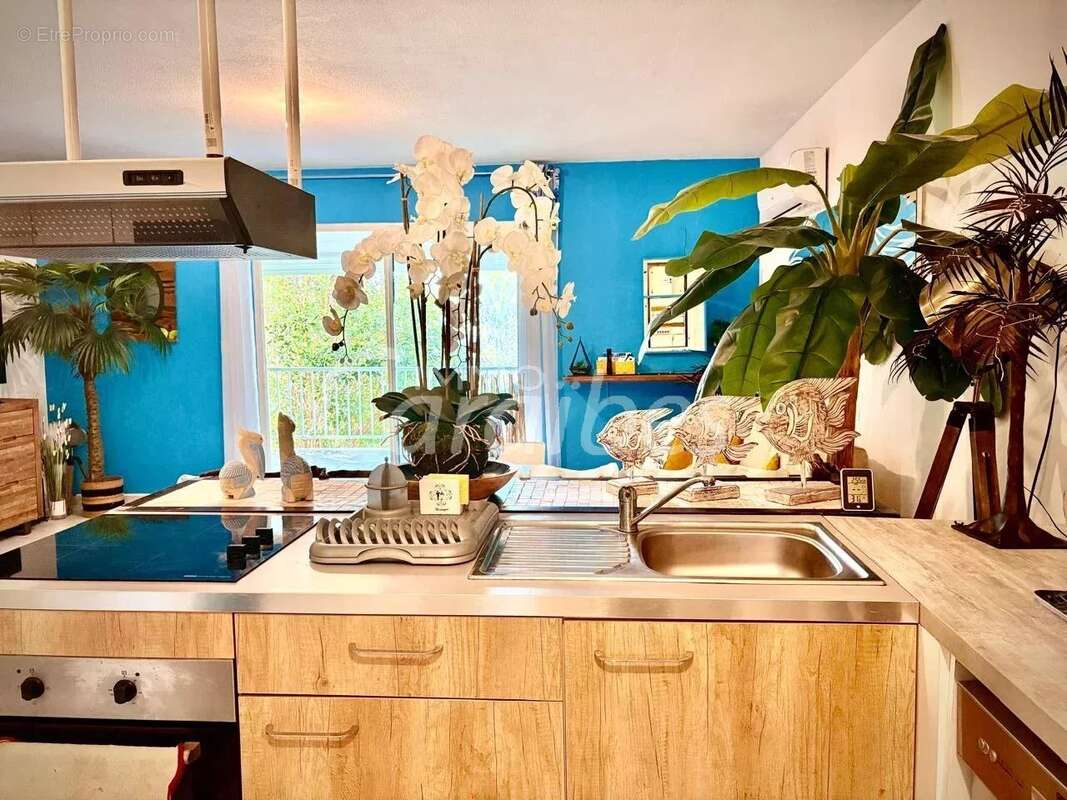 Appartement à SAINT-MARTIN