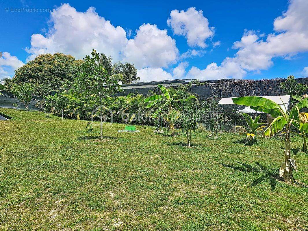 Maison à SAINT-FRANCOIS