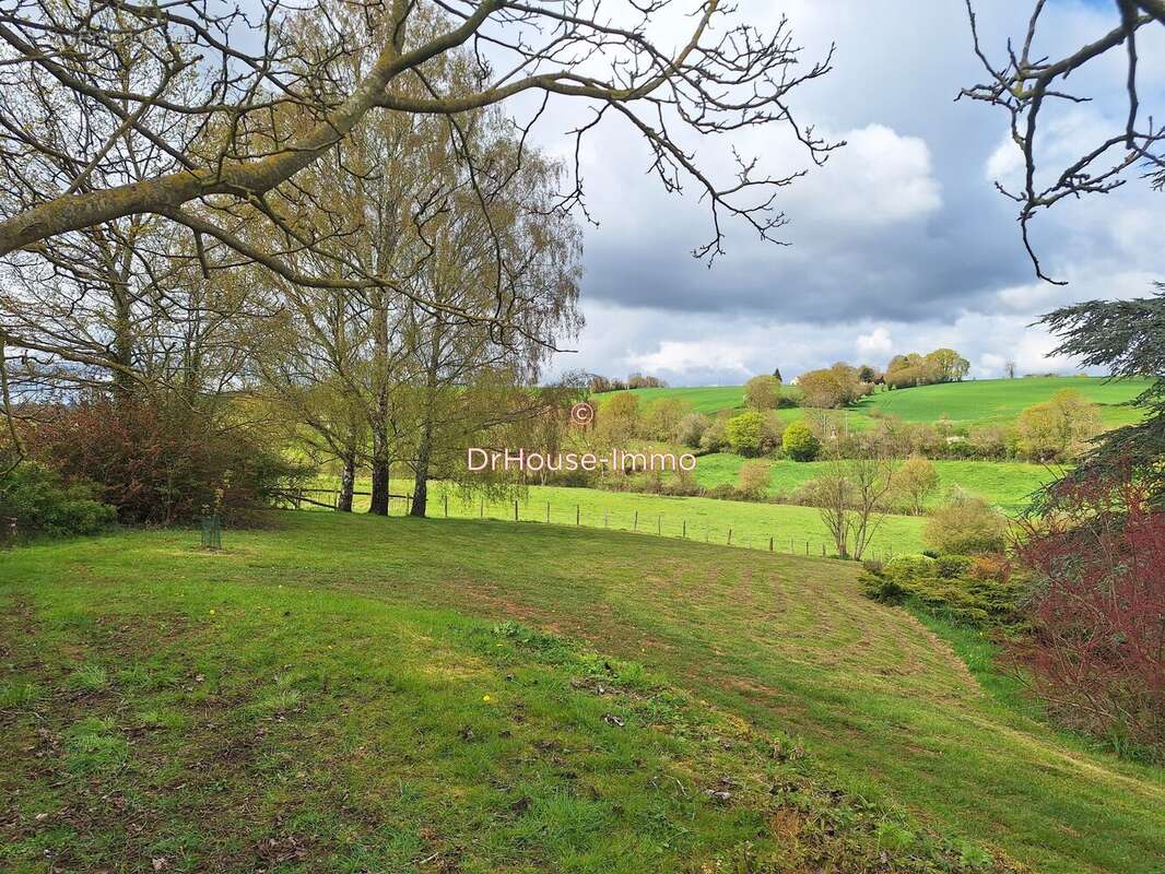 Maison 350 m² à Domfront-En-Champagne  - photo 8