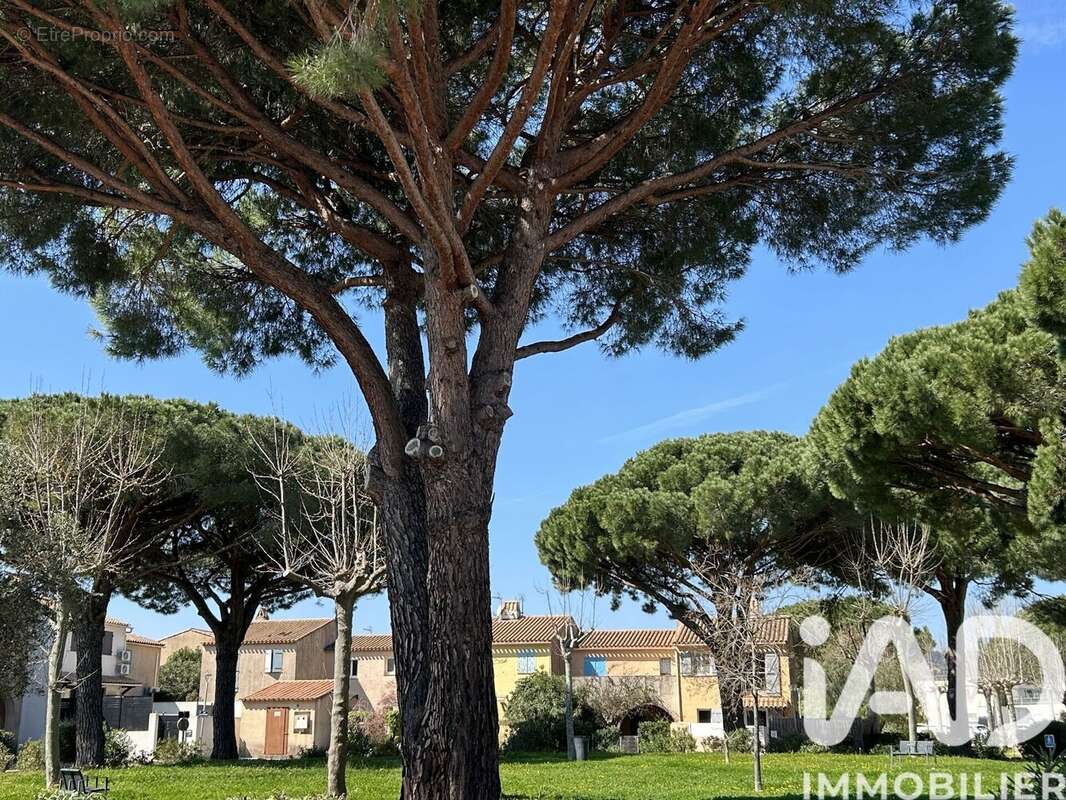 Photo 7 - Appartement à LA LONDE-LES-MAURES