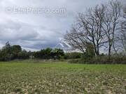 Terrain à SALINDRES