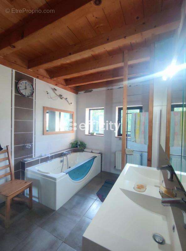 Maison 195 m² à Le Noyer  - photo 17