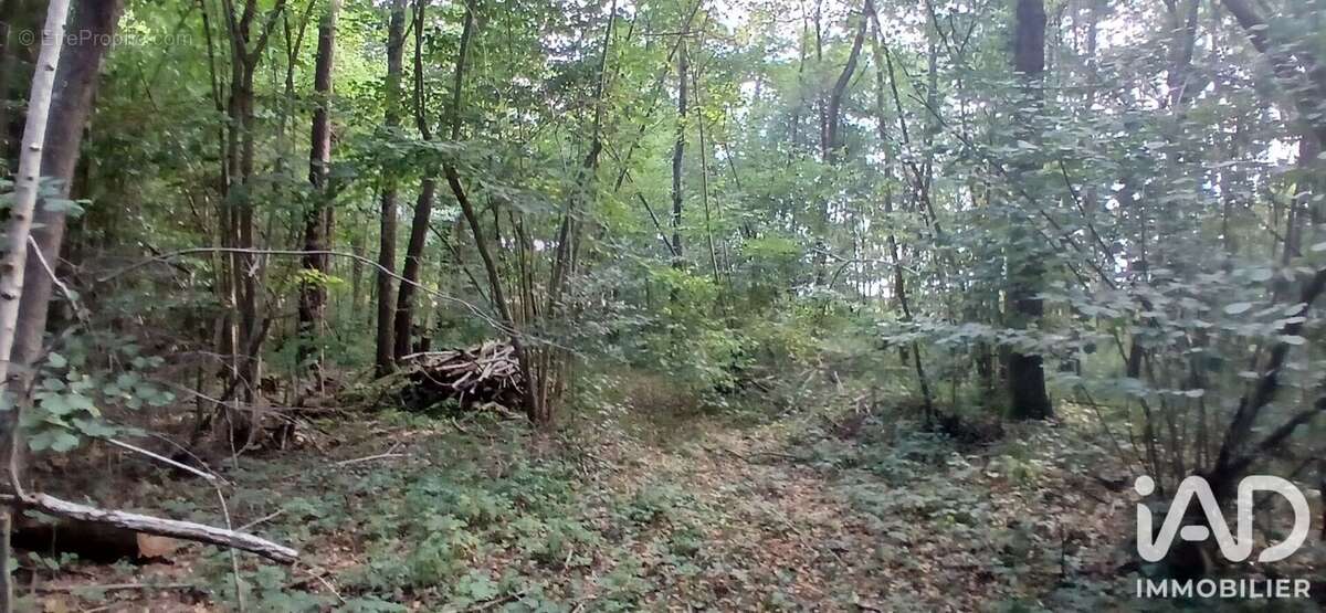 Terrain 3306 m² à Villemoutiers  - photo 4