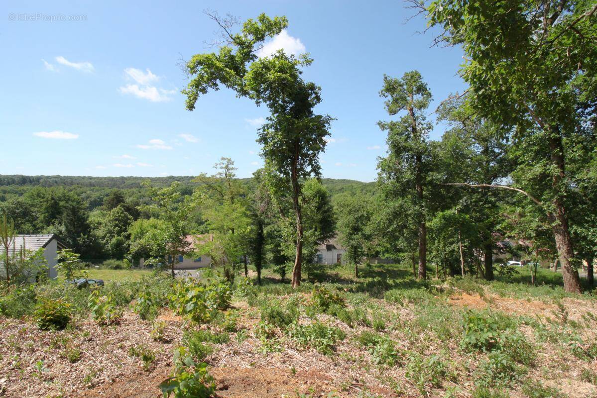 Terrain à SAINTE-MESME
