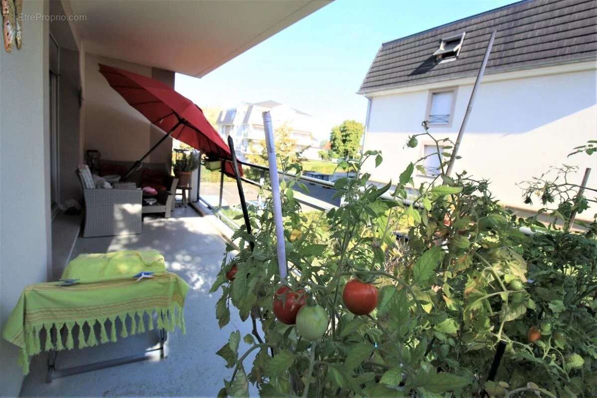 Appartement à WITTENHEIM