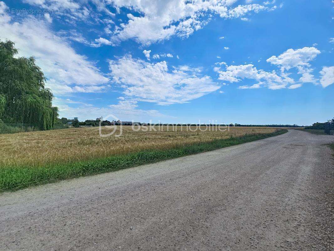 Terrain à bâtir de 606 m² – Aiserey - photo 3