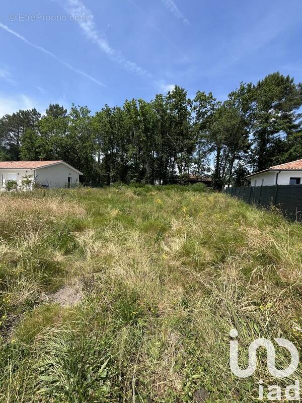 Photo 1 - Terrain à MAGESCQ