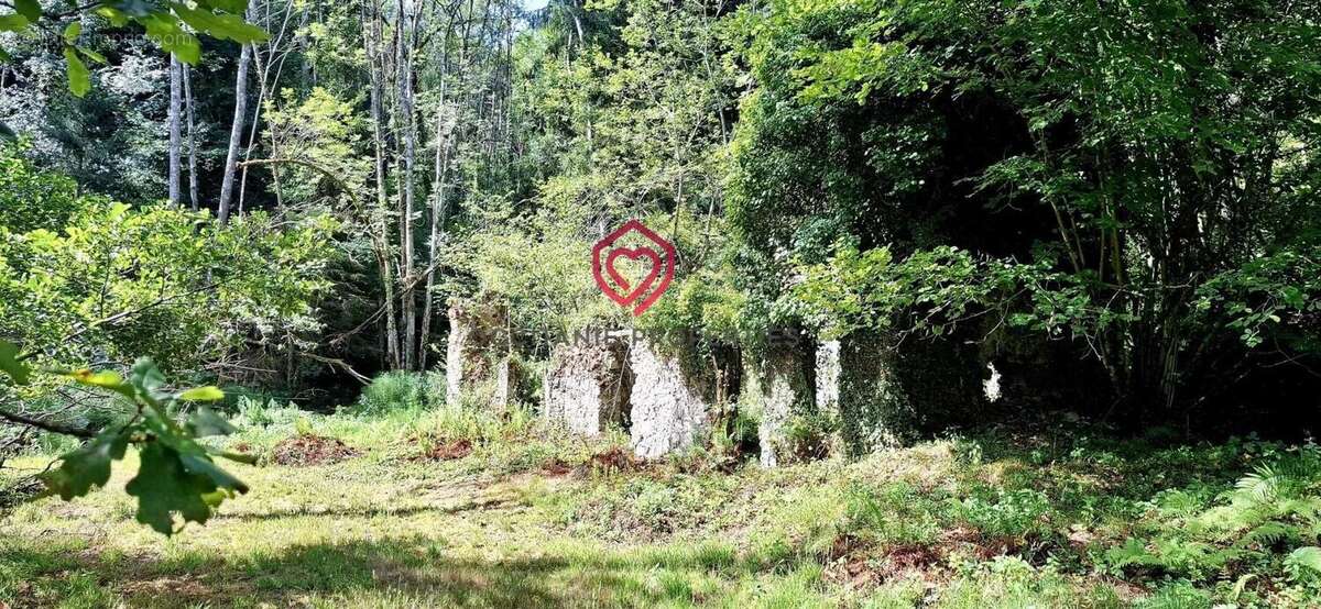 Belle demeure de caractère proche Foix - photo 5
