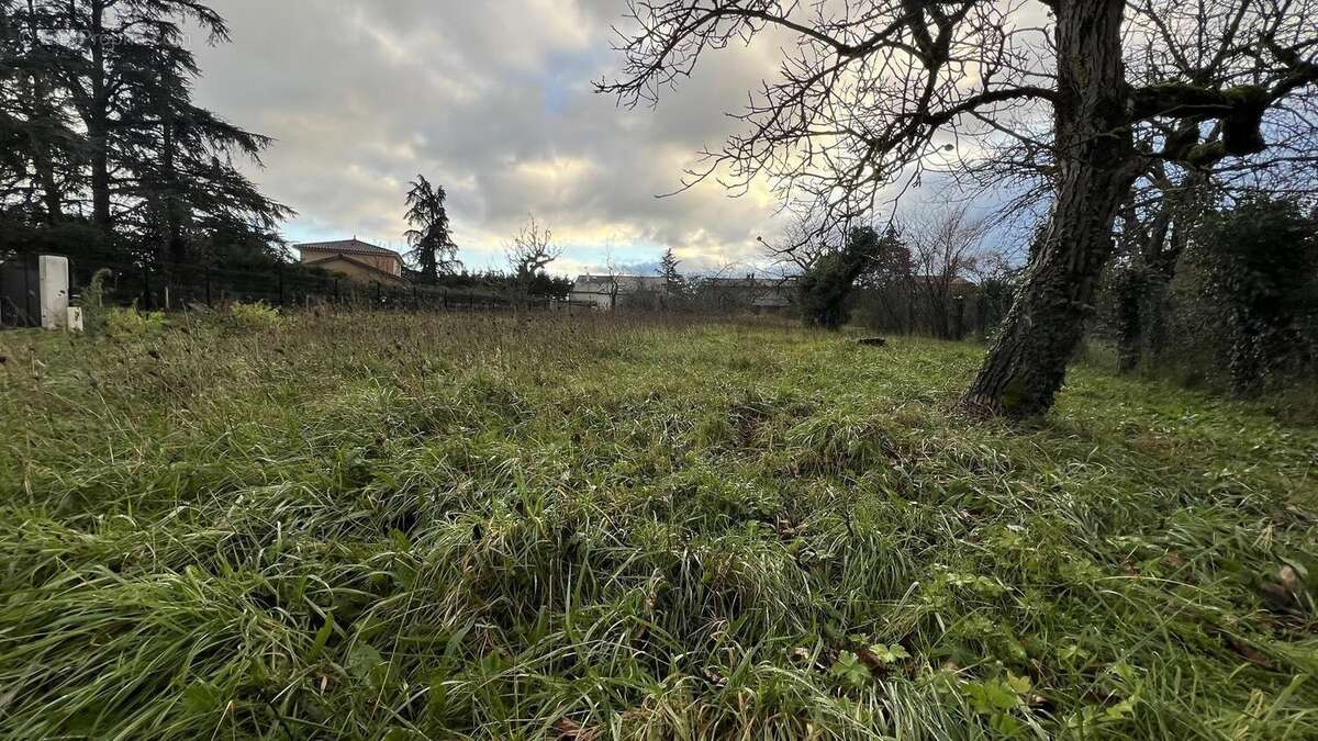 Photo 2 - Terrain à LA TOUR-DE-SALVAGNY