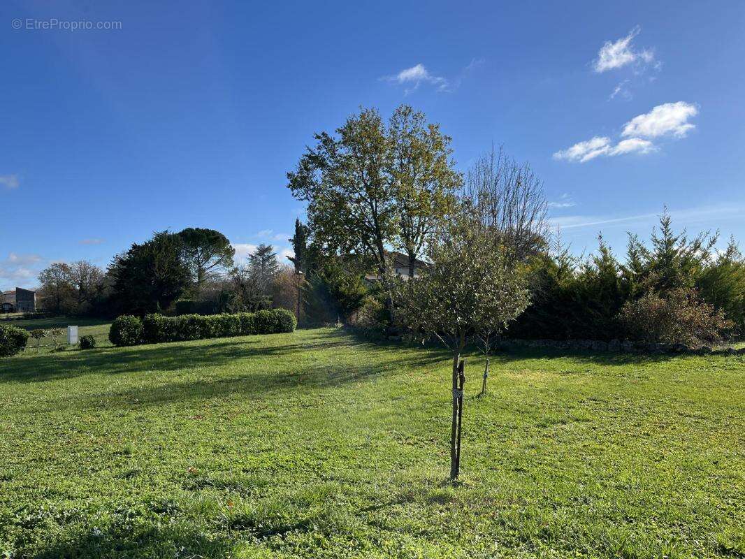Maison à CORDES-SUR-CIEL