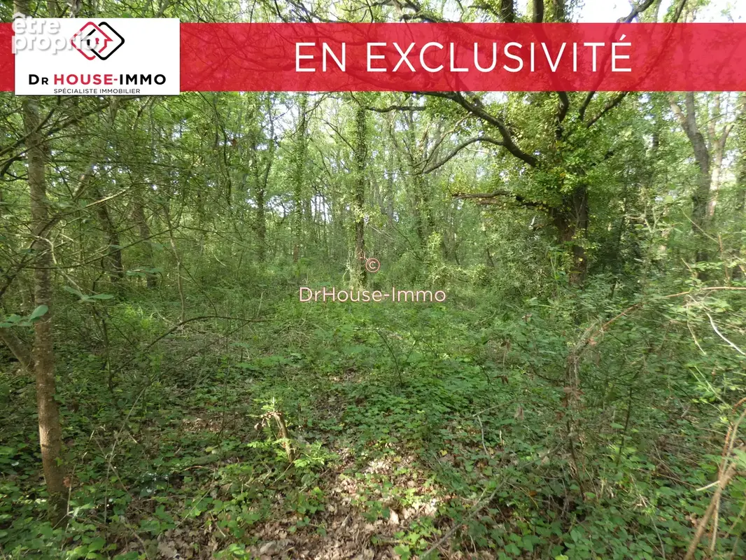 Terrain 1 591 m² à vendre à Bourcefranc-Le-Chapus (17560) - photo 17