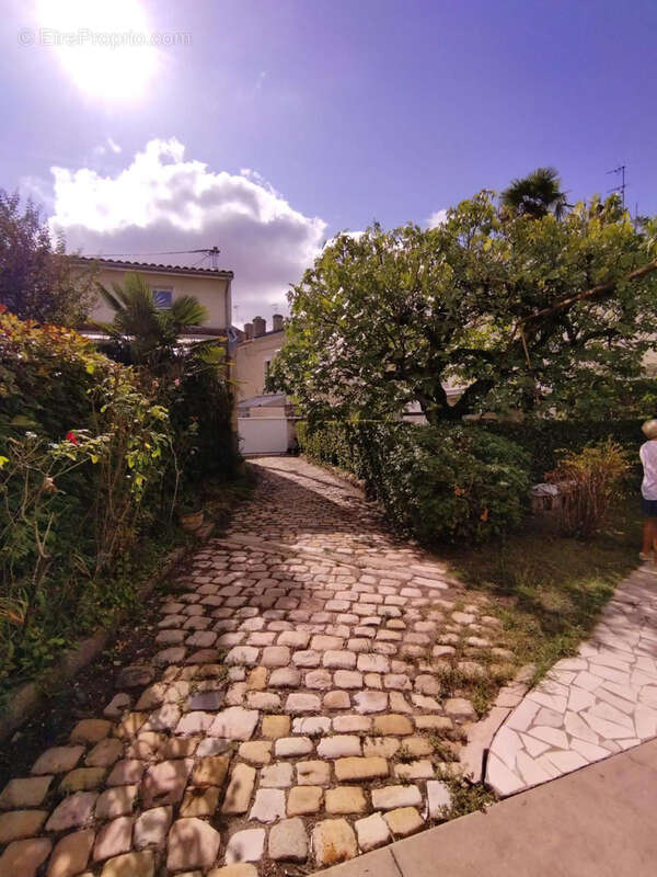 Commerce à LE BOUSCAT