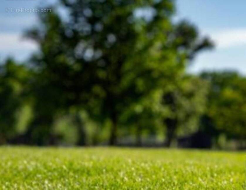 Terrain à FONTAINE-LA-MALLET