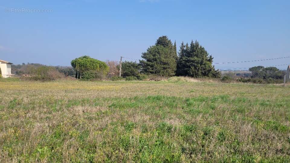 Terrain à CHAMARET