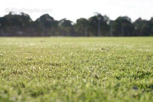 Terrain à SERIGNE
