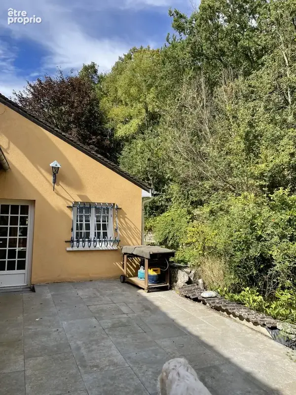 45230 la chapelle sur aveyron - photo 24