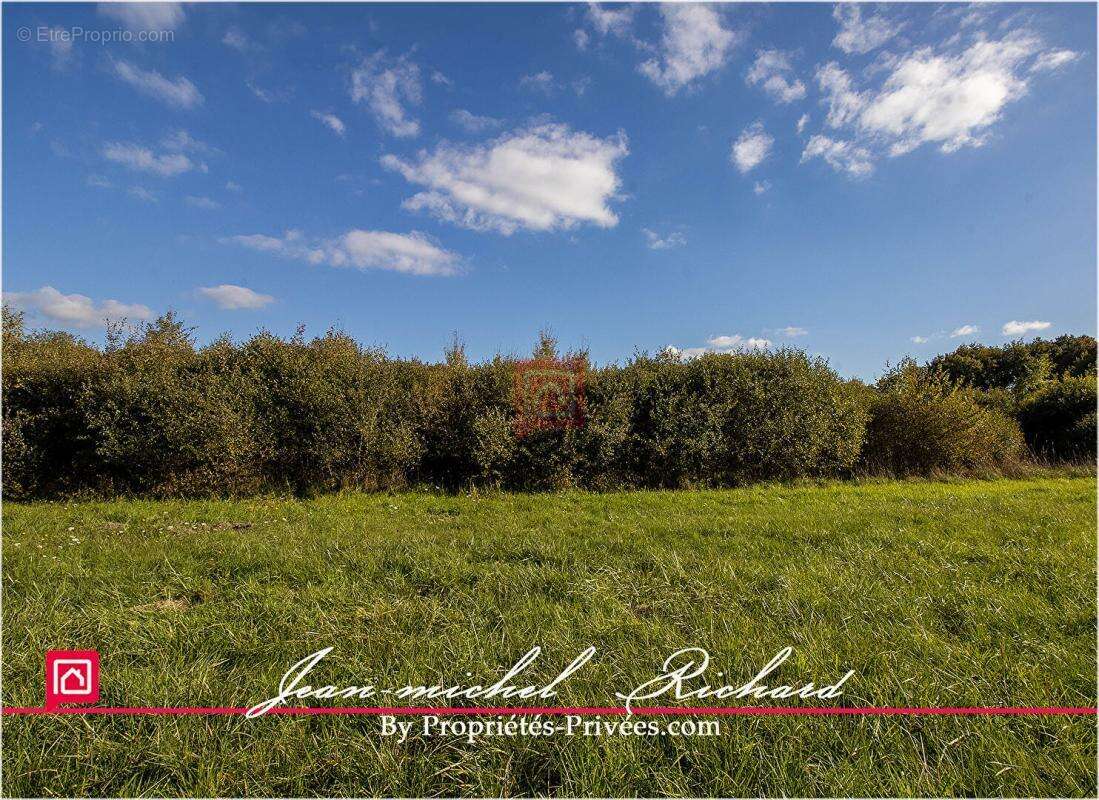 Terrain à GY-EN-SOLOGNE