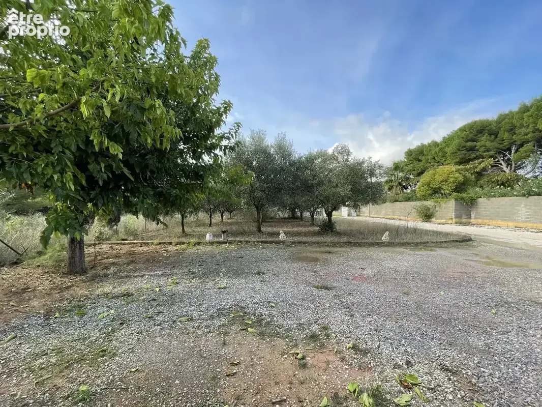 Terrain constructible de 1099 m² - photo 4