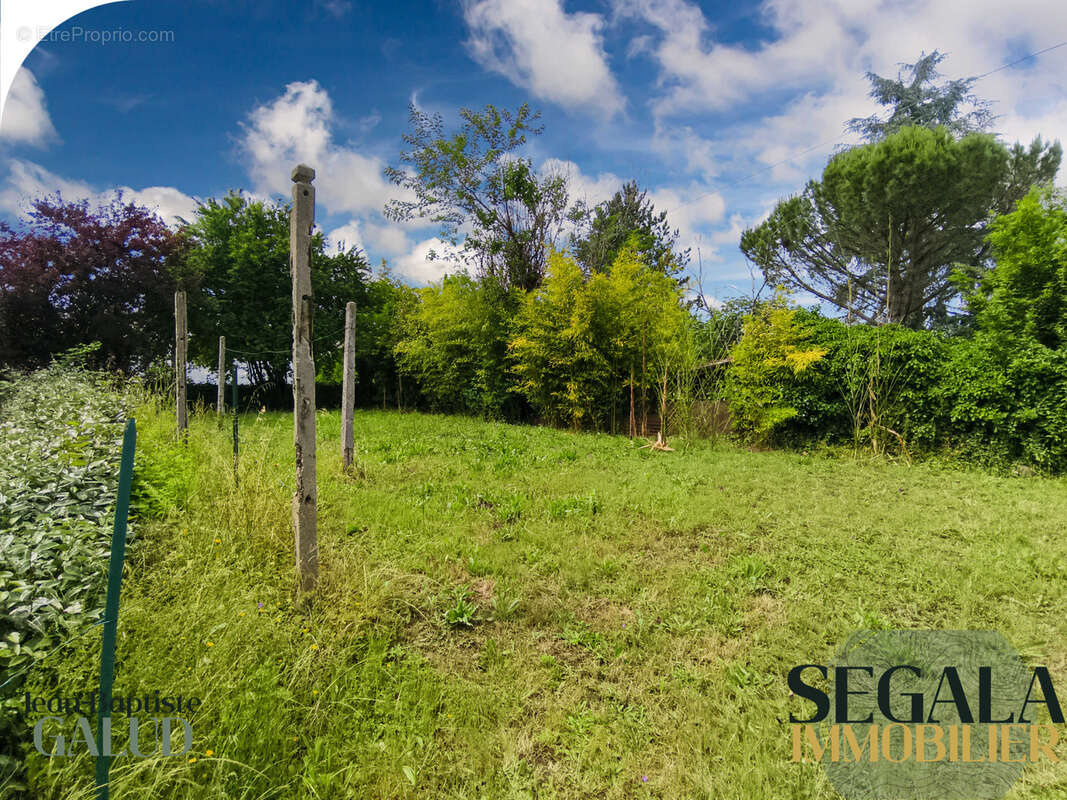 Maison à BLAYE-LES-MINES