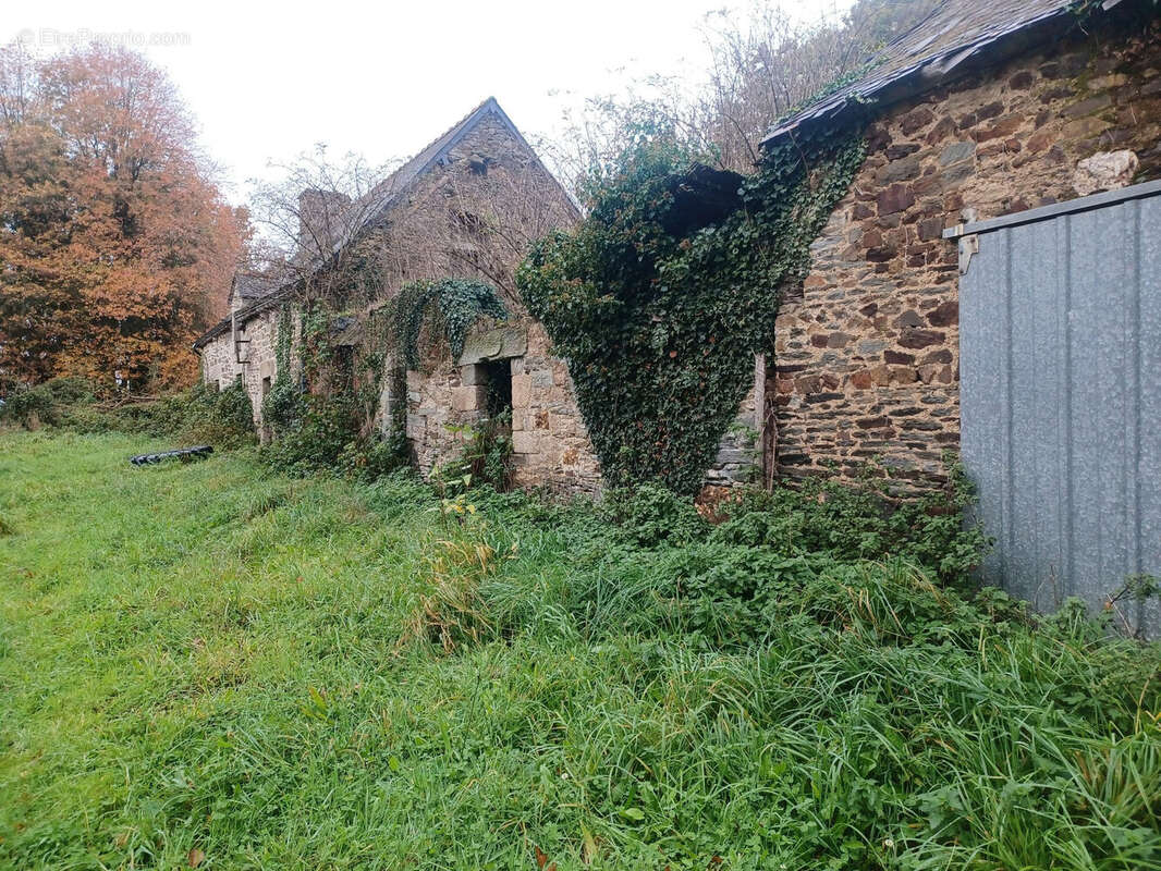 Maison à SAINT-THURIAU