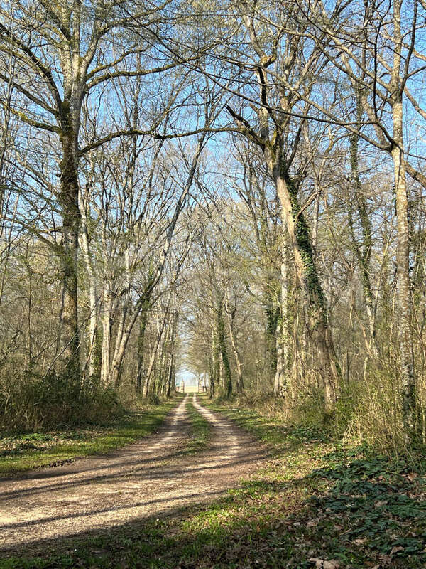 Maison à NOGENT-SUR-VERNISSON