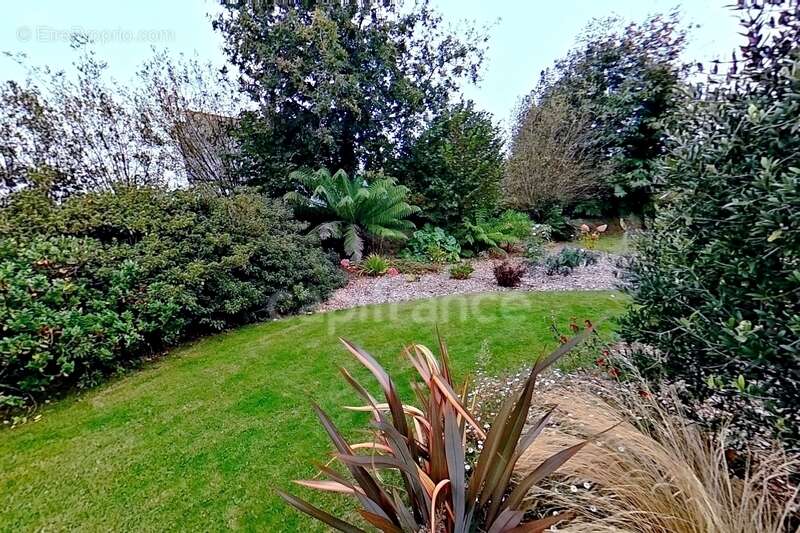 Maison à PLEUMEUR-BODOU