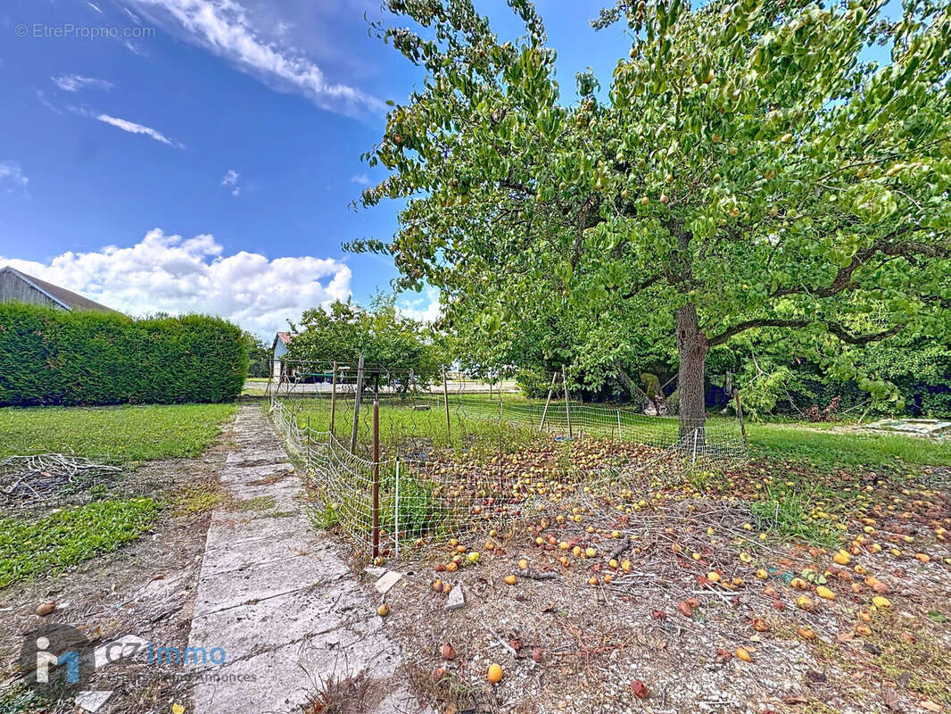 Photo 4 - Maison à SALON