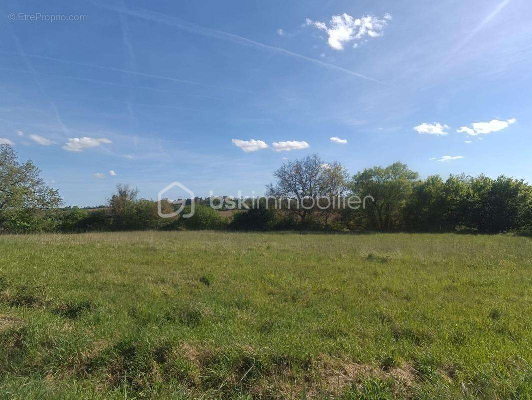 Terrain à LA ROMIEU