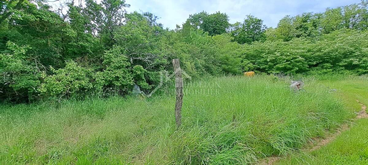 Terrain à NORROY-LES-PONT-A-MOUSSON