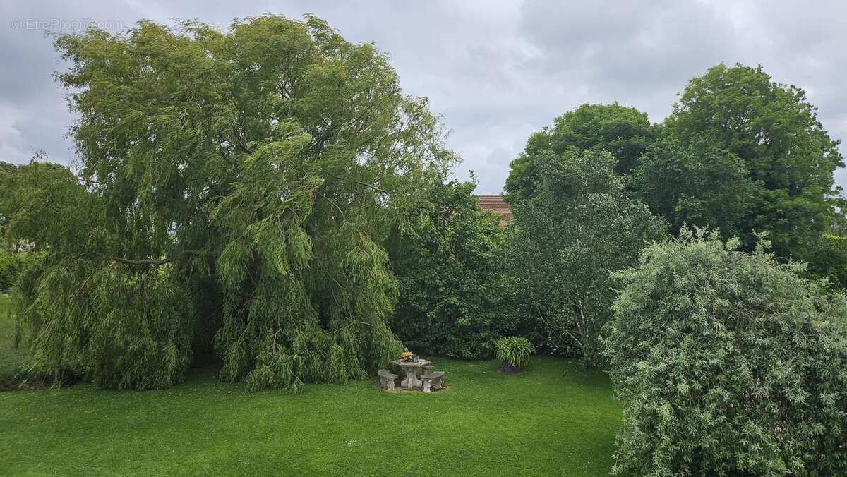 Maison 270 m² à Senneville-Sur-Fecamp  - photo 13