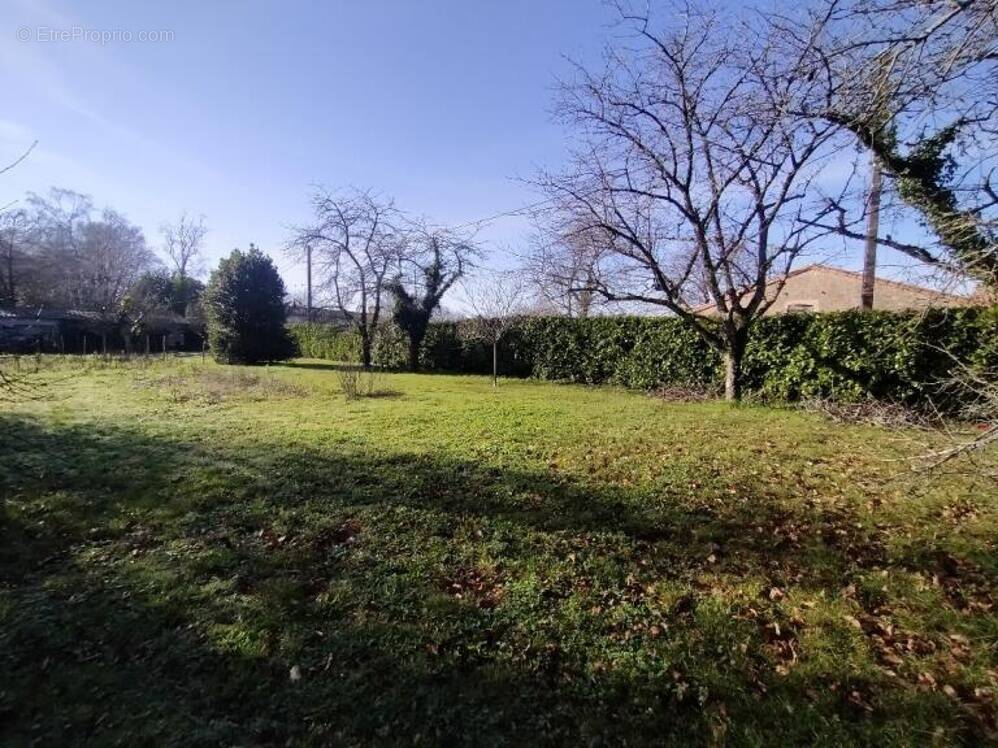 Terrain à AZAY-LE-BRULE
