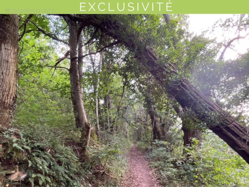 Terrain à AGEN-D'AVEYRON