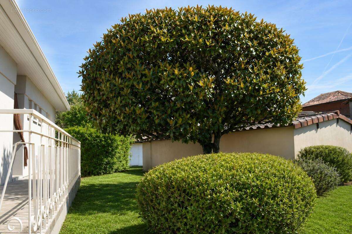 Lafrançaise, 82130 , Tarn et Garonne. Maison  plain-pied  82 m², 5 Pièces , 3 chambres avec jardin privatif et garage fermé - photo 3