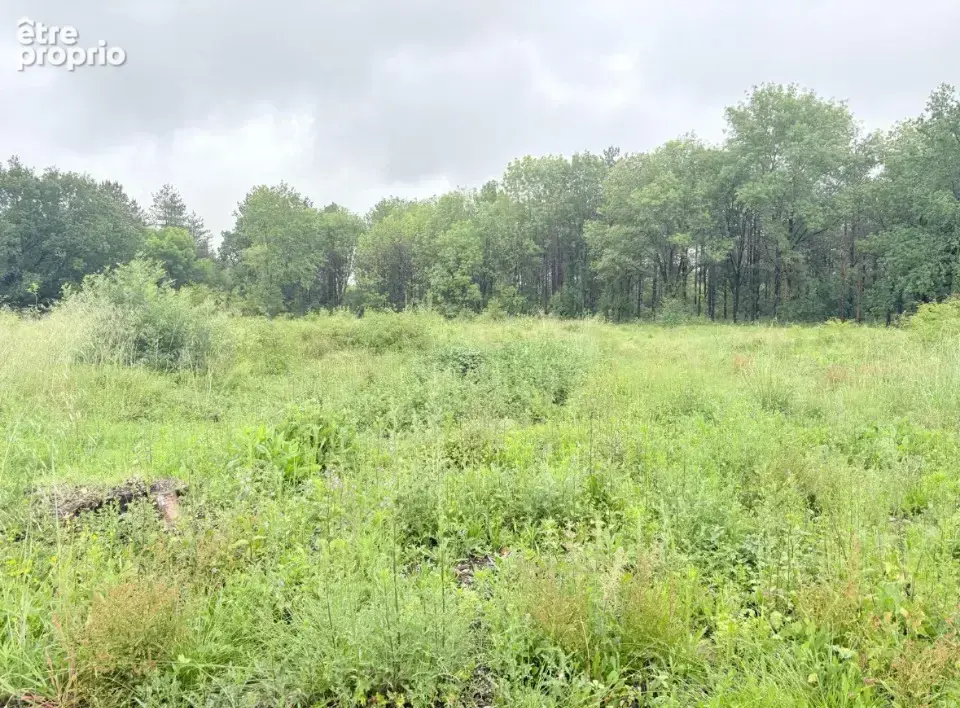 Photo Terrain à Villematier au prix de 88 000€
