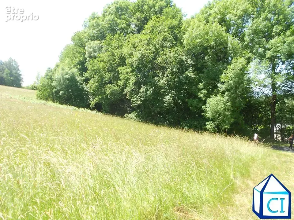 Terrain 1 900 m² à vendre à Lacrouzette (81210) - photo 2