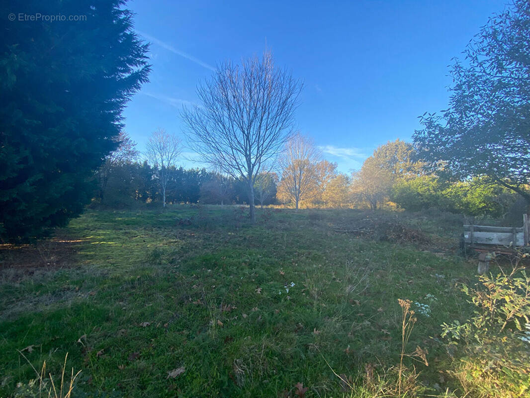 Terrain à LIPOSTHEY