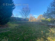 Terrain à LIPOSTHEY