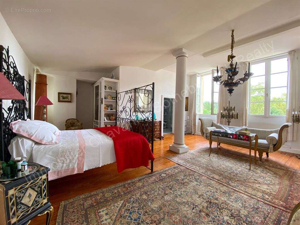 Château du XVIII, toutes commodités à pied - photo 15