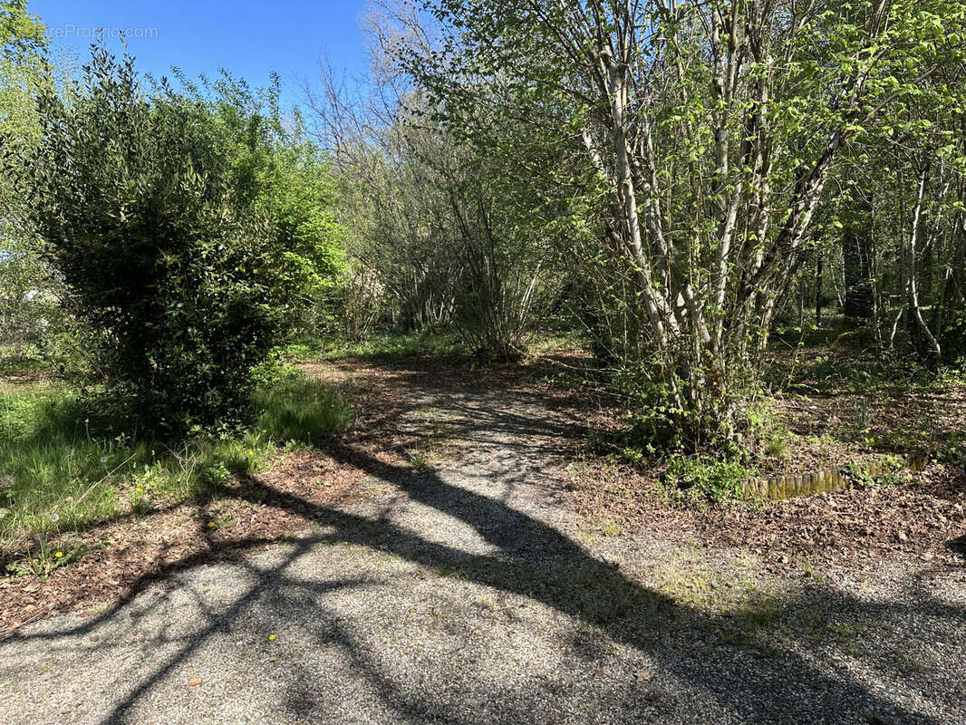 Maison à SAINT-BRICE