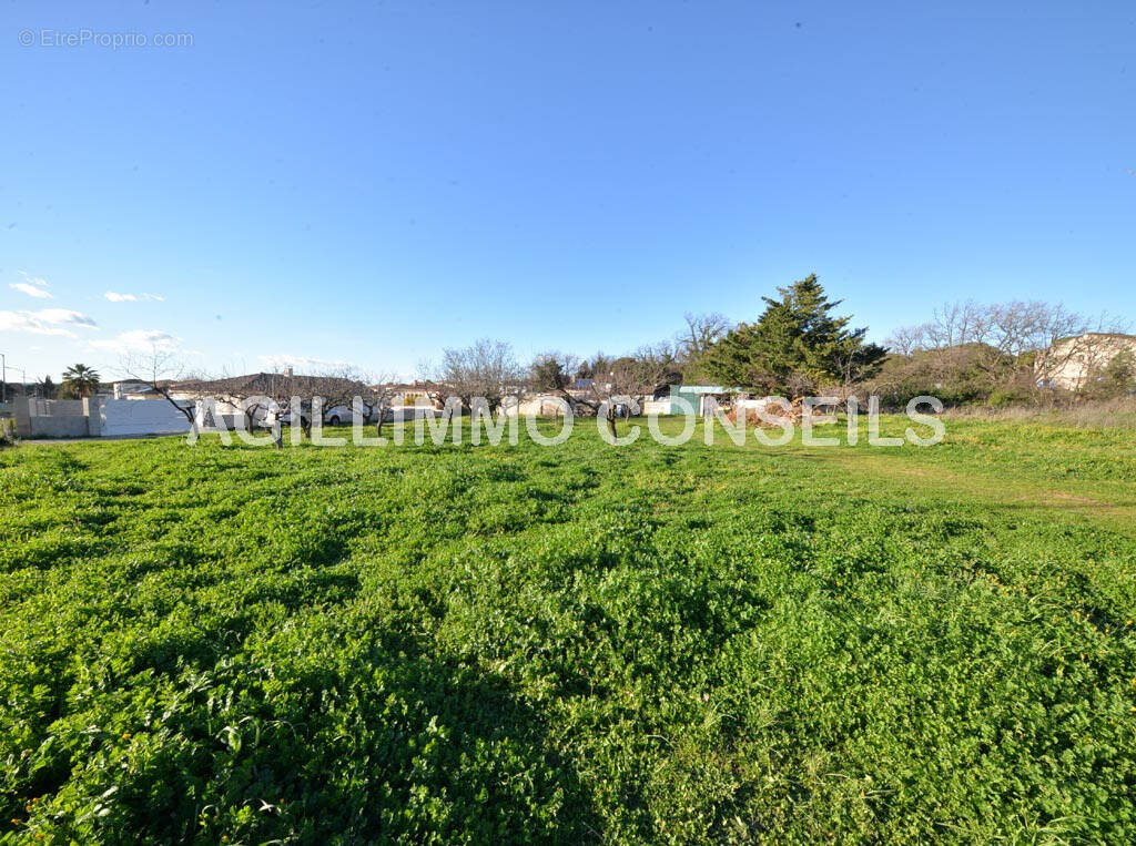Vente terrain Puget-sur-Argens - Terrain à PUGET-SUR-ARGENS