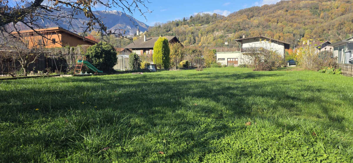 Commerce à ALBERTVILLE