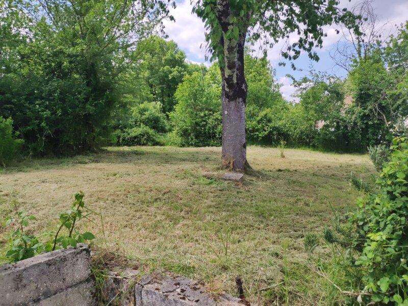 Photo 2 - Maison à CONSAC